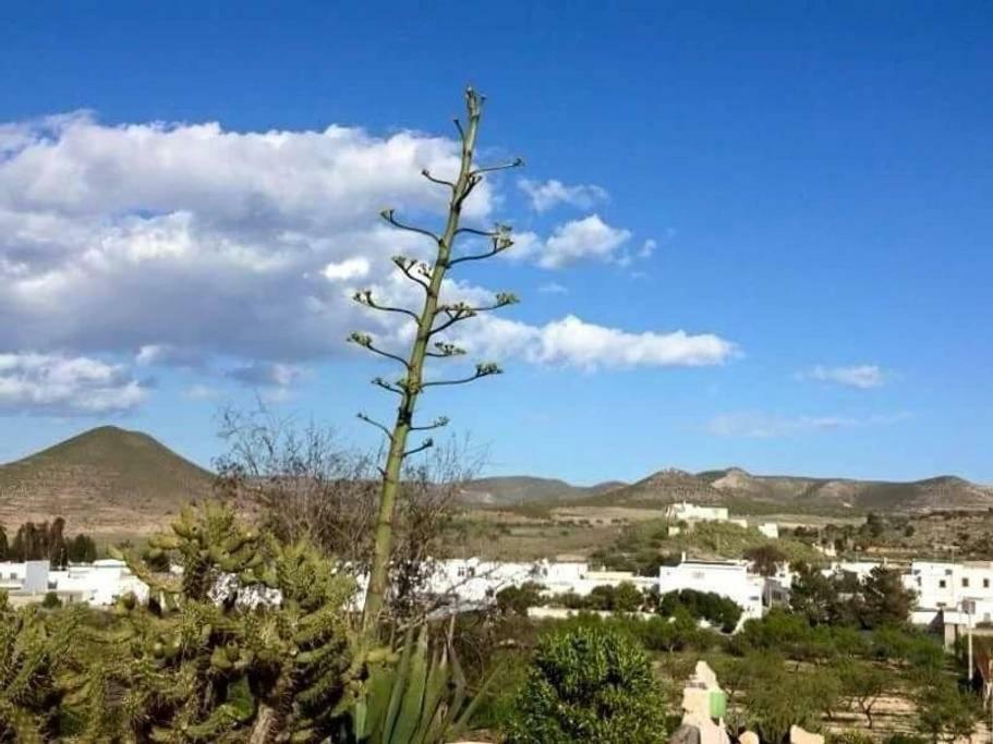 Cortijo Los Garridos - Fernán Pérez Extérieur photo